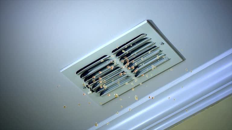 Best Air Vent Cleaning Services  in Maywood, IL