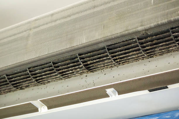 Best Professional Duct Cleaning Services  in Maywood, IL