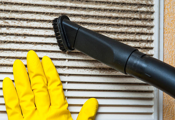 Best Affordable Duct Cleaning Services  in Maywood, IL